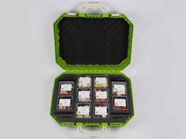 小學(xué)人體結(jié)構(gòu)實驗箱